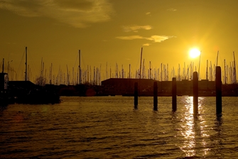 sunset, view of all of the boats creating a forest of masts in the sky