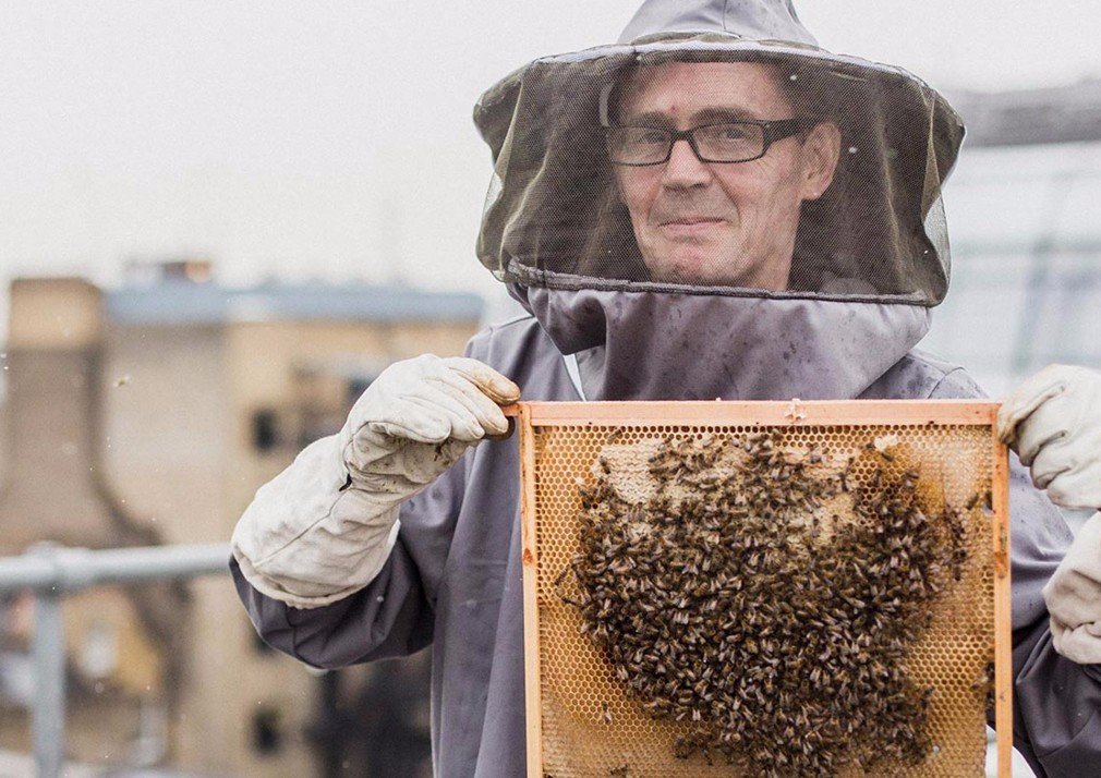 man in bee keeping protective suit, holding up a honeycomb with bees on it