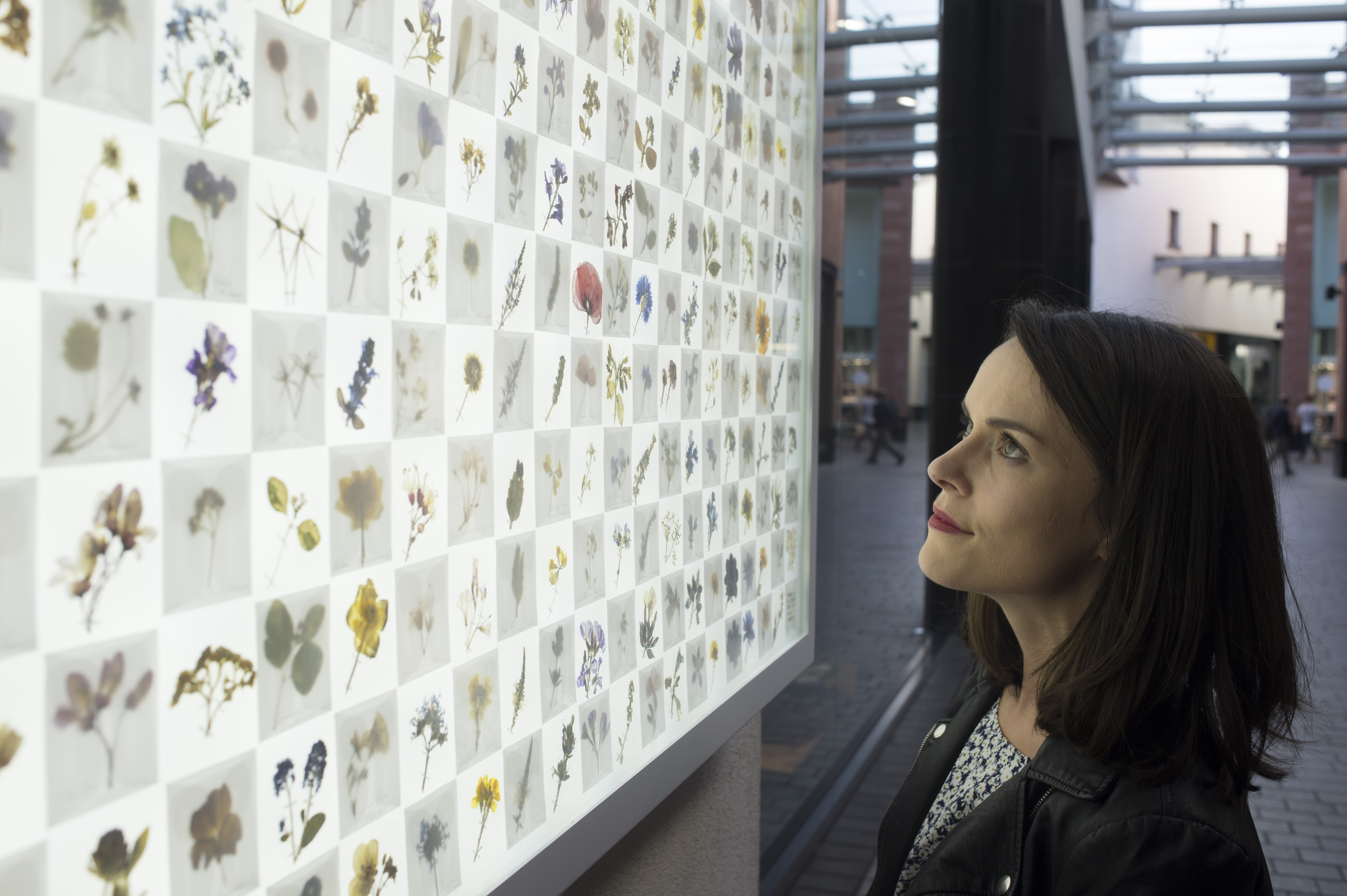 woman looking at a big display of wildlife found in the area surrounding the shopping centre