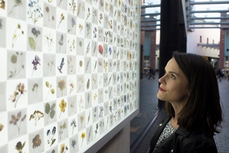 woman looking at a big display of wildlife found in the area surrounding the shopping centre