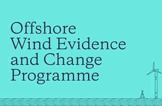 Text on a green background saying 'offshore wind and evidence programme'